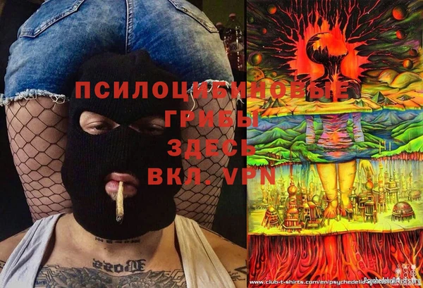 тгк Корсаков