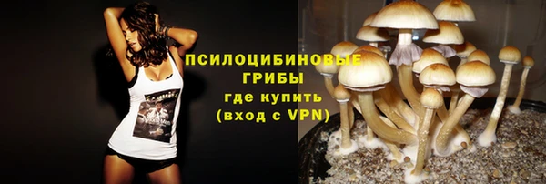 mdma Краснослободск