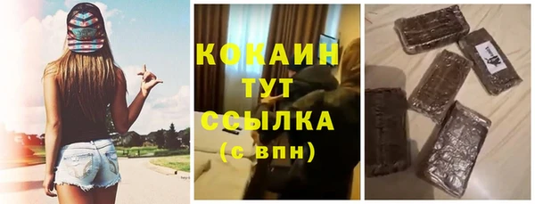 соль ск Костерёво