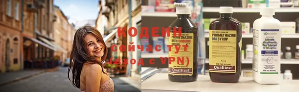 тгк Корсаков