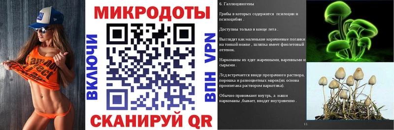 Купить закладки  Новотроицк  Галлюциногенные грибы Psilocybine cubensis 